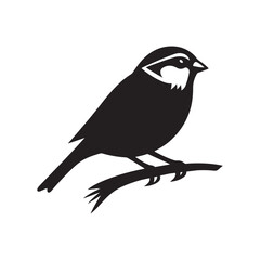 sparrow vector illustration