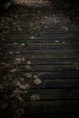 Horma Canyon in Kastamonu Turkey