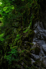 Fototapeta premium Horma Canyon in Kastamonu Turkey