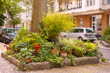 Buntes Blumenbeet in einer Großstadt mit Blumentöpfen an einer Baumscheibe / Urban Gardening	