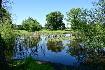 Ottomer Pond, Old Buckenham, Norfolk