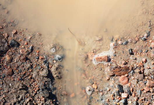 Brown puddle on the forest floor in Finland