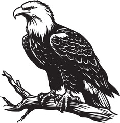 eagle bird sitting on a branch silhouettes vector illustration