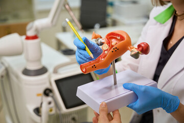 Gynecologist uses a mock-up of the uterus during a consultation