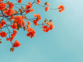 A vibrant and minimalistic photograph showcasing a branch of bright orange flowers set against a clear, light blue sky. The composition captures the essence of spring or summer