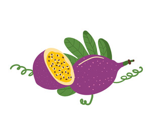 Passion fruits. Tropical half and whole fruit. Vector illustration isolated on white background.