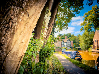 White Foxglove Flowers on Bridgewater Canal