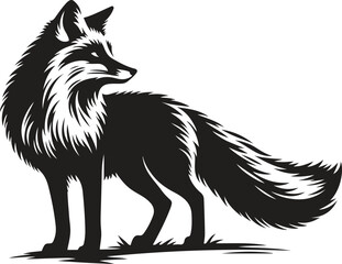 fox cartoon isolated on white