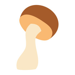 Mushroom on a white background, autumn vector illustration for your design.
