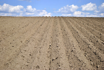 plowed field in spring