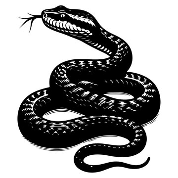 recommend clip art: A danger wildlife snake, a black snake vector illustration isolated on a white background
