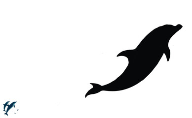 Delphine Silhouette Vector Illustrator Design