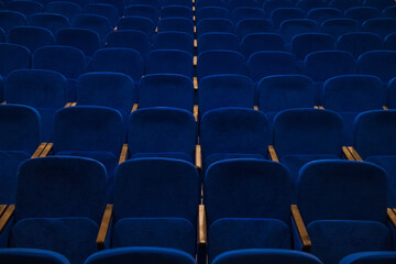 Blue empty seats in the audience prepared for the participants of the conference or presentation