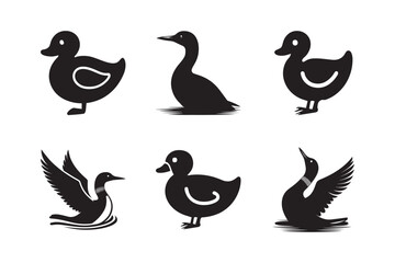 Silhouettes of Duck isolated on a white background. Set of different loon silhouettes