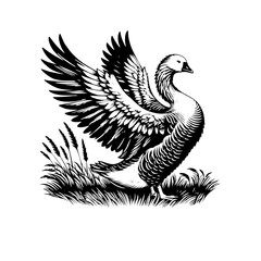 illustration of a duck