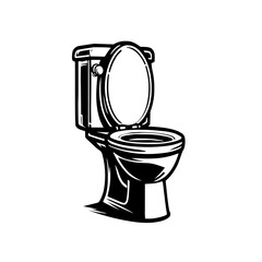 toilet bowl isolated