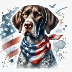 Patriotic Watercolor of a German Shorthaired Pointer Dog, Wearing an American flag bandana around its neck. The dog has a proud