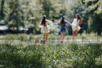 Fototapeta premium Three young women seen from behind, walking and holding hands in a lush park on a sunny day, embodying carefree joy and friendship.