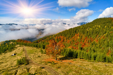 Fototapety na wymiar - Fototapeta24.pl