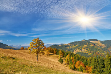 the mountain autumn landscape