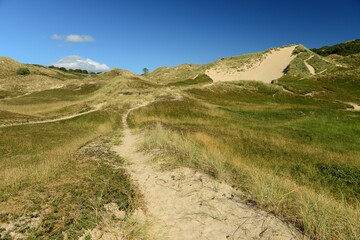 Fototapeta premium Les Mielle, Sand dunes, Jersey, U.K. Nature reserve in the Summer.
