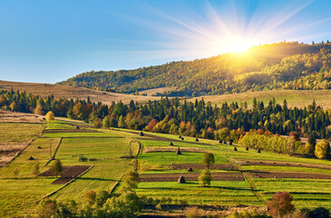 Fototapety na wymiar - Fototapeta24.pl