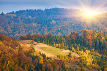 Beautiful autumn in the mountain forest.