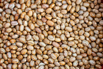 Textura de feijão carioca. Grãos.