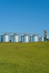 silver silos on agro manufacturing plant for processing drying cleaning and storage of agricultural products, flour, cereals and grain. Large iron barrels of grain. Granary elevator