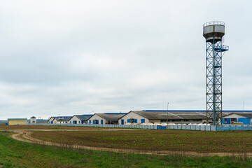A large agro-industrial complex on the background of an agricultural field. A cattle farm. Cowsheds and pigsties.