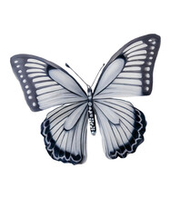 Obraz premium Simple butterfly, ink outline drawing, transparent illustration.