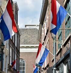 Side Street Lined with Dutch Flags in The Hague, Netherlands
