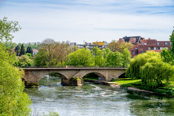 View over Lauffen am Neckar, Deutschland 