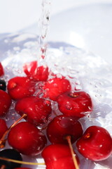 juicy bright red cherries in water on a white background