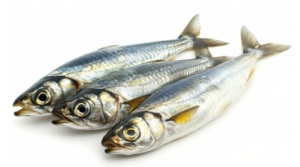 Herring salted raw fish isolated on white wallpaper background