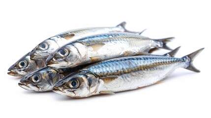 Herring salted raw fish isolated on white wallpaper background