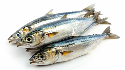 Herring salted raw fish isolated on white wallpaper background