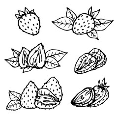 Collection of sketches, doodles of summer strawberries and pieces of fruit. Vector graphics.