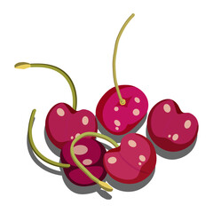 Some ripe red cherries with shadow on white background. Summer fruits. Food vector illustration.