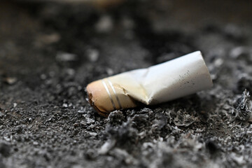 cigarette in ashtray close up, addiction concept