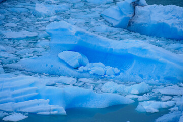 Obraz premium Close up of blue pieces of ice floating in the water. Los Glaciares National Park, Argentina
