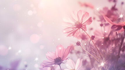 Obraz premium Soft focus beautiful cosmos flowers are blooming in vintage tones with bright sky background : Generative AI
