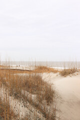 Tybee Island Beach, Georgia