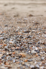 Tybee Island Beach, Georgia