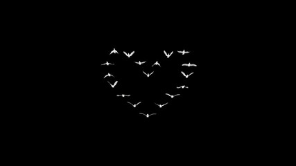 Heart Flock of Romantic Doves - 18 White Pigeon Birds - Flying Transition Front View - Alpha Channel - Realistic artistic 3D animation isolated on transparent background