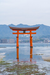 日本の広島県の宮島にある、厳島神社の大鳥居