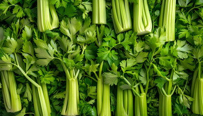 Obraz premium Many fresh green celery bunches as background, top view