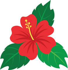 Hibiscus flower vector