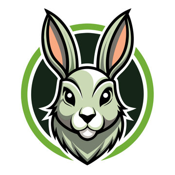 cartoon rabbit