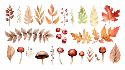 This image features a diverse collection of autumn leaves and mushrooms arranged artistically, showcasing the vibrant colors and elements of the fall season in a stylish manner.